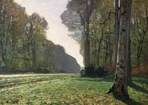 Vejen til Bas-Breau, Fontainebleau (Le Pave de Chailly), ca. 1865